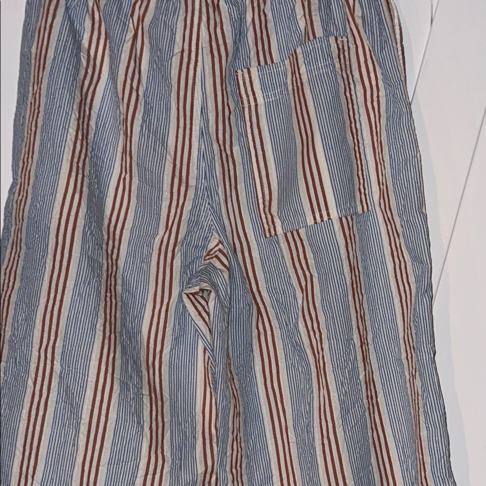 BDG Joey Crinkle Pant - Picture 7 of 8